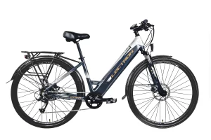 LECTRON Citana R 28"- 17"RÁM-(BAT-630Wh-17,5Ah)-SKLADEM !!!