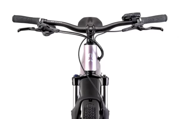 CTM-ROXXY GX-M,L-(MOT.PANASONIC GX POWER PLUS)-(BAT.LG 720 Wh / 36V / 20Ah)-NA PRODEJNĚ-MOŽNO VYZKOUŠET-(TEST.OKRUH)+BONUS KE KOLU  3000Kč  !!! - Image 2
